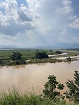IMG_4598