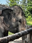 IMG_4601