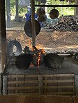 IMG_4603