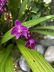 IMG_4612