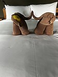 IMG_4621