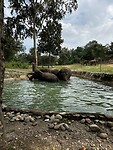 IMG_4653