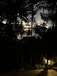 IMG_4694