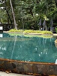 IMG_4704