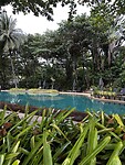 IMG_4706
