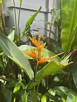 IMG_4712