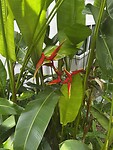 IMG_4713