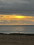 IMG_4718