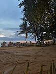 IMG_4726