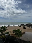 IMG_4731