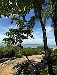 IMG_4736