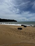 IMG_4738