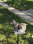 IMG_5741