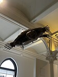 IMG_5774