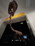IMG_5775