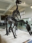 IMG_5777