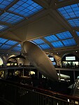 IMG_5780