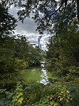 IMG_5782