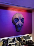 IMG_5791