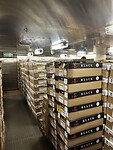 IMG_5815