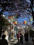 IMG_5835