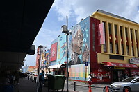 DSC_0564