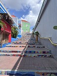 IMG_5934