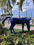 IMG_6023