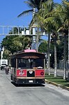 IMG_6119
