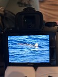 IMG_6138