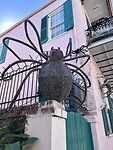 IMG_6341