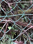 IMG_7334