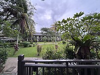 IMG_8080