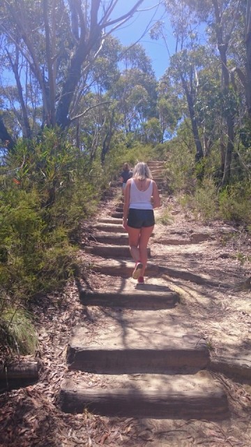 Blue Mountains