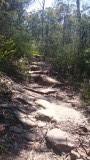 13 km hike
