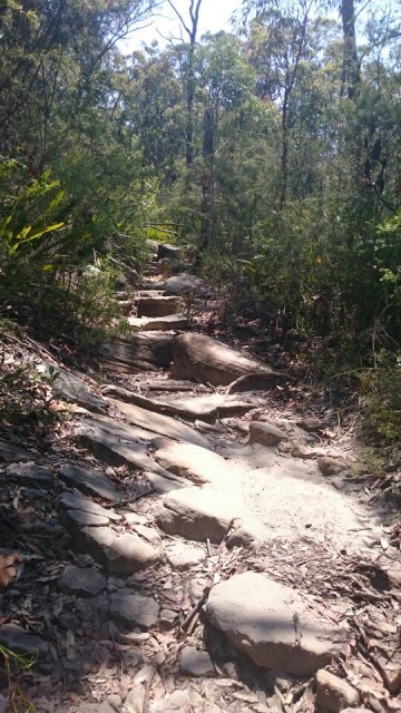 13 km hike