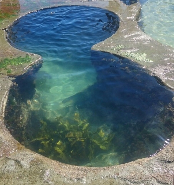 Figure 8 pools