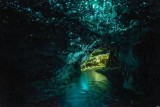 Glowworms cave