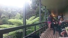 Karioi lodge