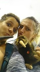 Kiwi's