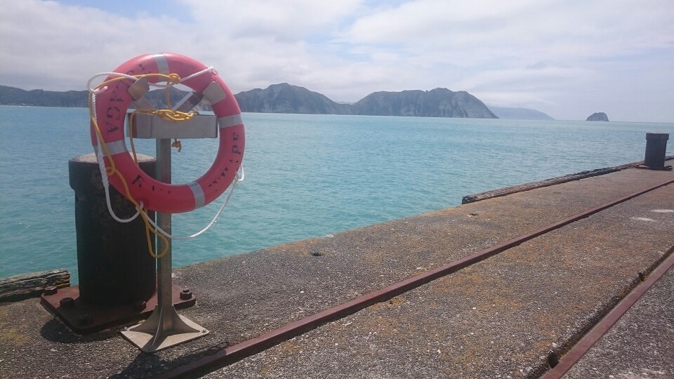 Tolaga Bay