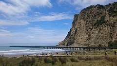 Langste pier van NZ