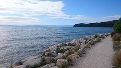 Abel Tasman