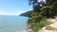 Abel Tasman National Park
