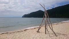 Bark Bay
