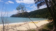 Bark Bay