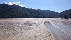 Low tide