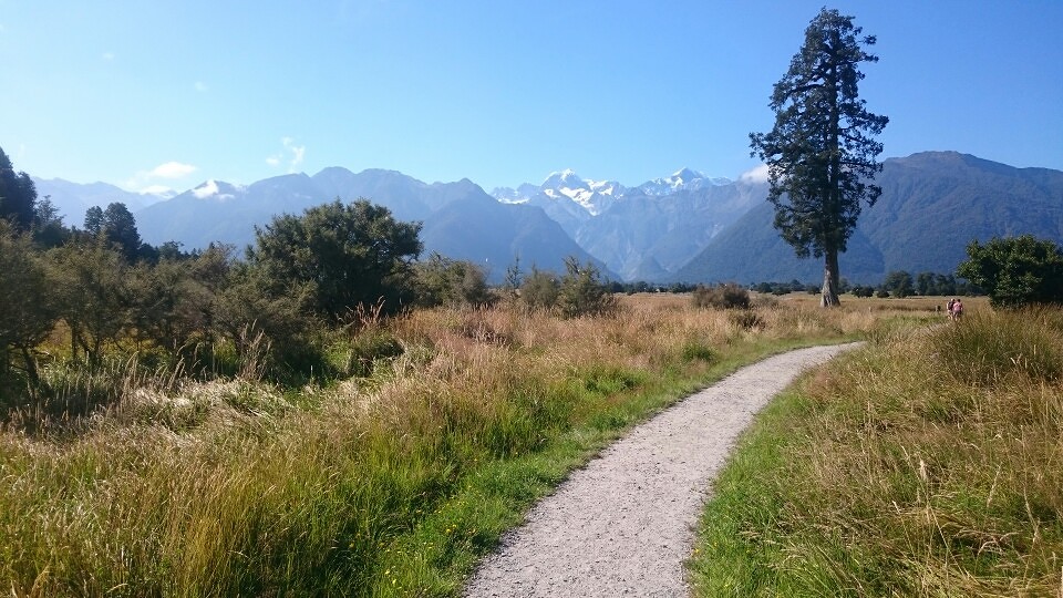 Fox Glacier