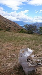 Roys peak track