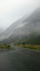 Fiordland